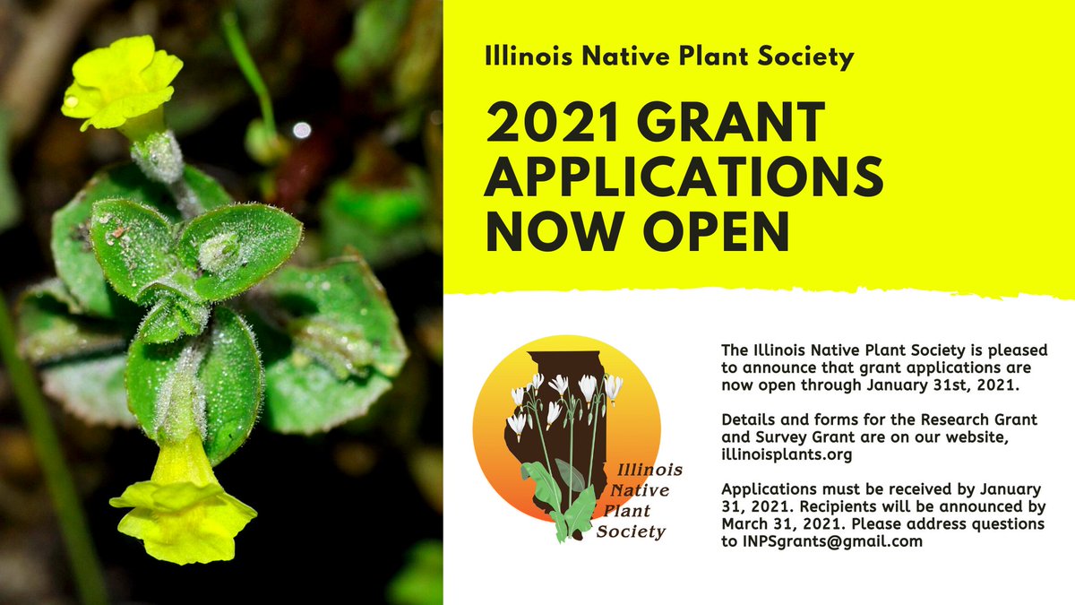 Northeast Chapter, Illinois Native Plant Society (@northeastinps) on Twitter photo 26/11/2020 18:03:32 Apply for a research or rare plant survey grant! More details at illinoisplants.org/grants/ Apply for a research or rare plant survey grant! More details at illinoisplants.org/grants/