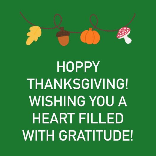 From our zookeeper Ryp and the whole team at Froggy’s Lair - we wish you a very hoppy day filled with love, family, friends and gratitude. We are grateful for each other, you, every small business we work with and the promises of the holiday season. 💚 #HappyThanksgiving2020