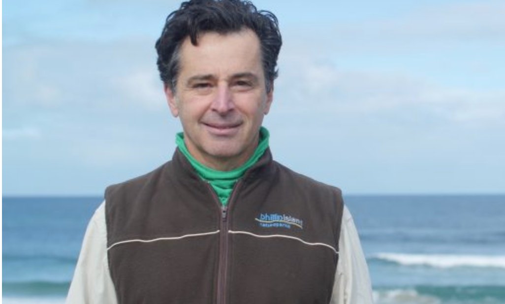 SEO_BirdLife's tweet photo. 🔴Andre Chiaradia (Phillip Island Nature Parks @PhillipIslandNP): "Tenemos un programa de rescate para sacar a las pardelas jóvenes del camino durante su primer viaje al mar, y los devolvemos a la seguridad de su colonia” #Luminaves
https://t.co/1lXd8OvZEj https://t.co/TZgvN6ycCm