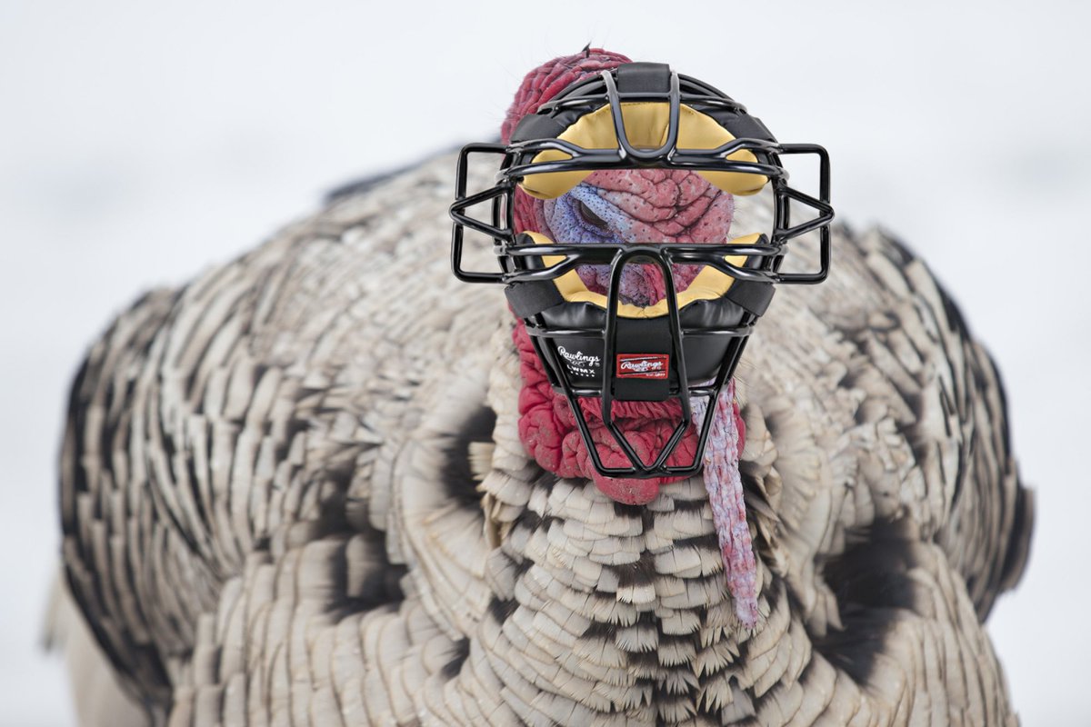 Ragin_Mounds's tweet photo. Happy Thanksgiving from all of us at Ragin Mounds!! Remember to always compete in anything you do. If someone has more food on their plate than you, go get more!!! https://t.co/8HFJGscd6x