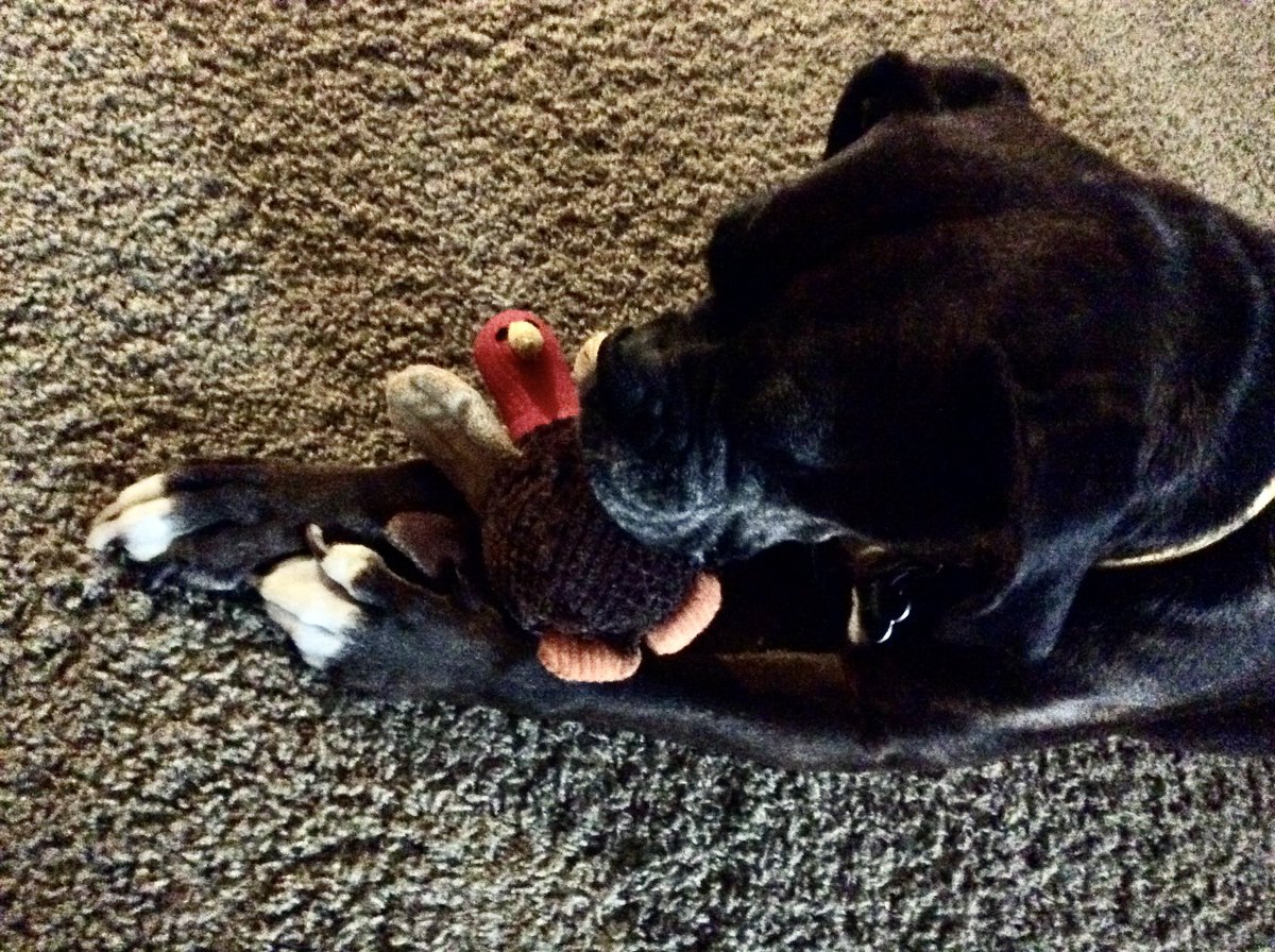 AlanaAstra's tweet photo. This is not what I meant, mom. #turkeyday https://t.co/4KudpGWu8i