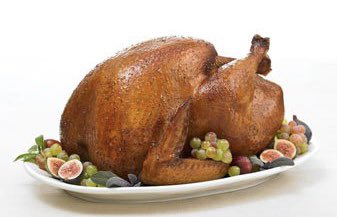 WhyRunOut's tweet image. We're closed for Thanksgiving and will see you tomorrow!