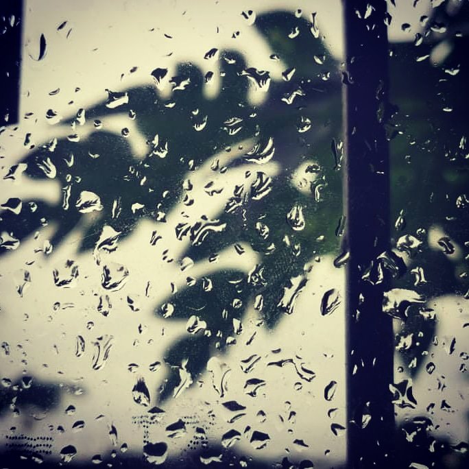 LaneHaddad's tweet image. There is a time and place for everything. There is no need to rush or force things, when what is meant to be will always be.
#timeforeverything #perfecttime #phonephotography #photography #NaturePhotography #naturelover #nature #rain #raindrops #window #havefaith