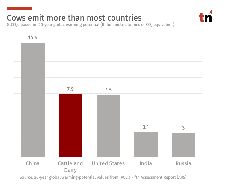 Did you know that if cows were a country, they'd be the 2nd largest GHG emitters? 🐮

Read about the next revolution in agriculture and how climate-conscious, private investors can make a difference: truenorthimpact.com/our-work/innov…

#TrueNorthImpact #ImpactInvesting