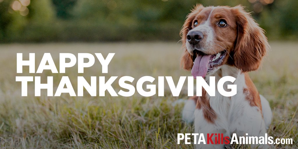 Peta Kills Animals, Buy Now, Clearance, 54% OFF, Peta Kills Animals, Buy Now, Clearance, 54% OFF,