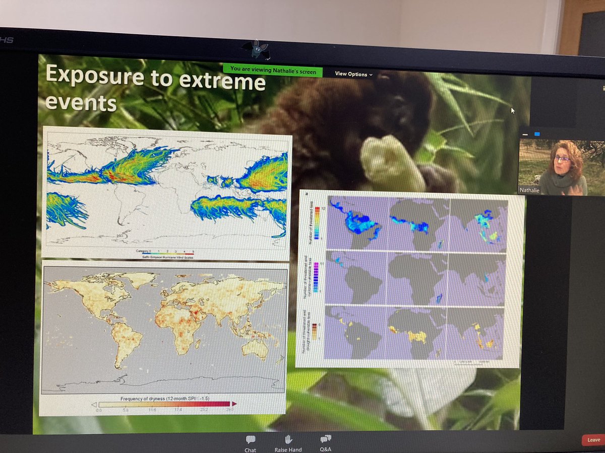 RachaelCooBoh's tweet photo. Given our #biodiversitycrisis Dr @Pettorelli explains how #satelliteimagery can be a useful #conservationtool in understanding and predicting distribution and assess #species #vulnerability and changes in #populationdynamics @LinneanSociety @ConservOptimism https://t.co/8zYrrBE4p1