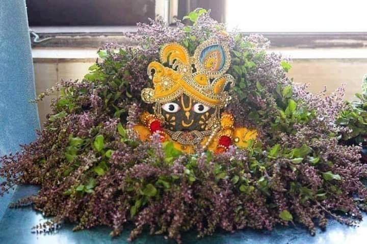 Jagadguru_'s tweet photo. तुलसी-शालिगराम विवाह !
#tulsivivah #TulsiVivah2020
#radheyradhe #Radhey_Radhey
#jagadgurushrikripalujimaharaj https://t.co/wdGUd1FZGW