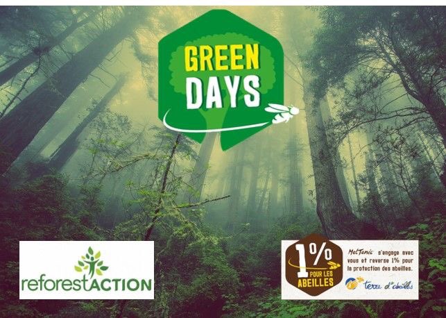 Déjà 250 arbres financés + 1% pour l'Ong Terre d'Abeilles avec les GREEN DAYS 
Consommons responsables ensemble 
Rdv sur meltonic.fr
#ecosystème #écologie #tousresponsable #nutritionsportivebio #madeinfrance