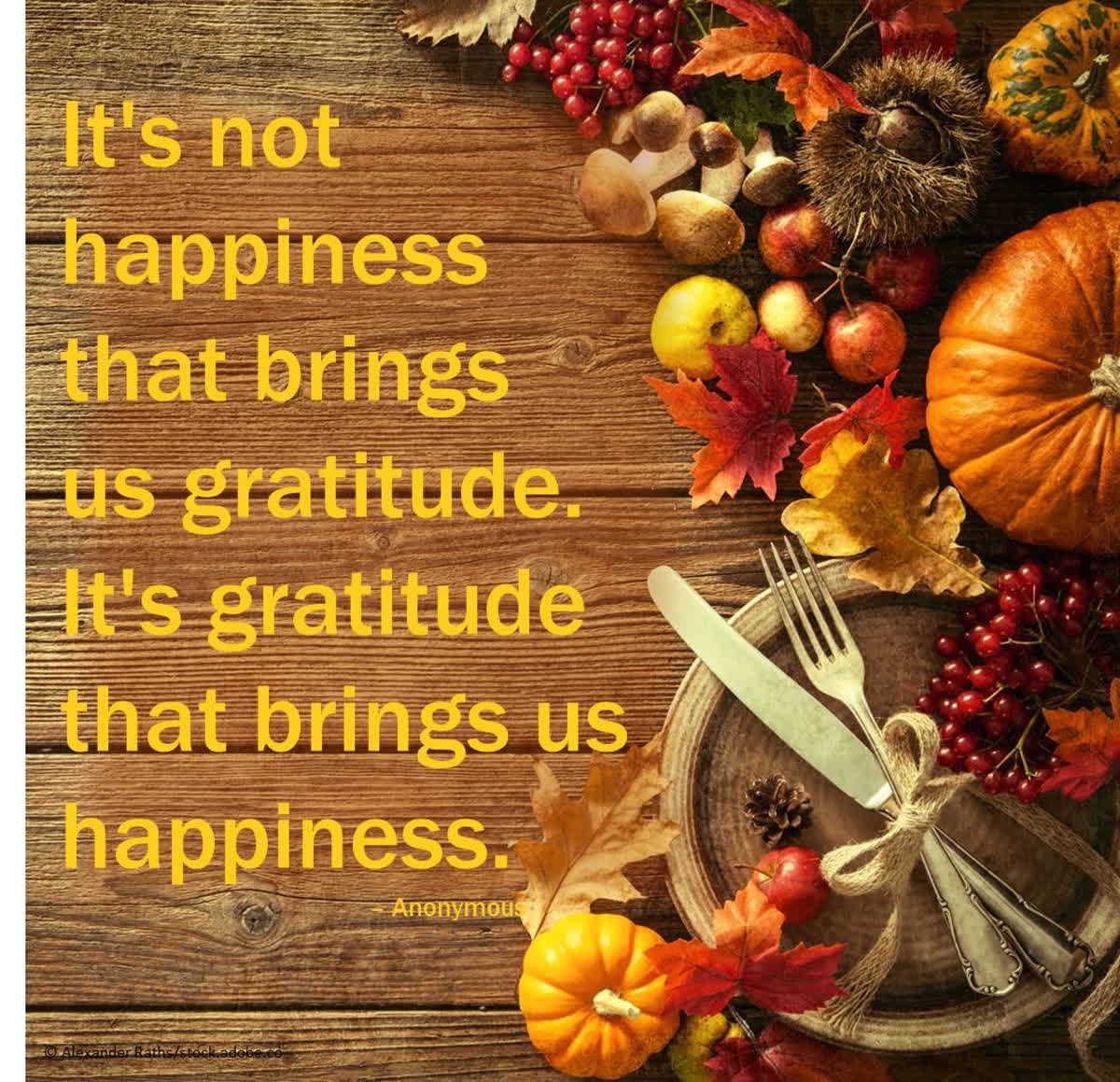 I am so grateful for the opportunity to work with such wonderful clients and contractors. Thank you for being awesome people! I hope you have a relaxing and joyful Thanksgiving.