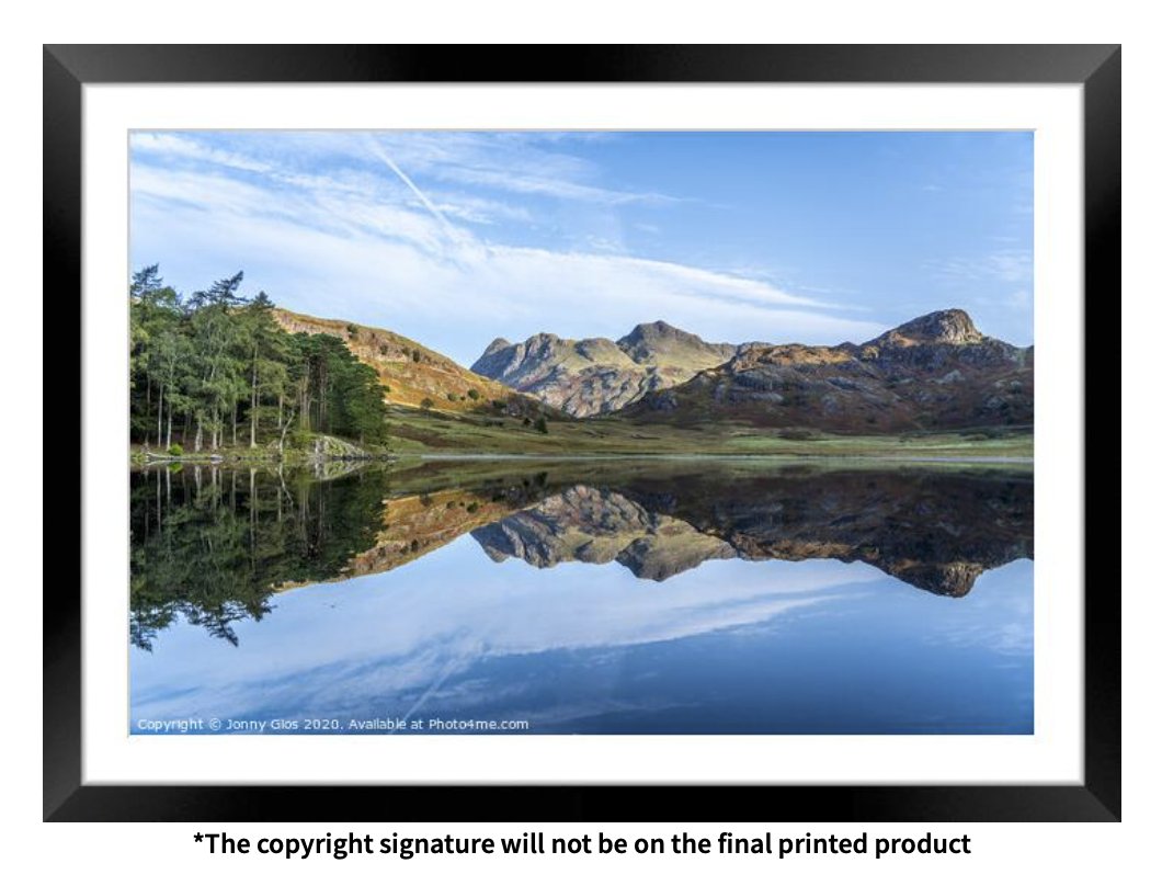 Supergios's tweet photo. stepping up my photography game this December. Please have a look at this stunners - reasonablly priced https://t.co/hdvMN5wuwn https://t.co/yWuYSSux8W