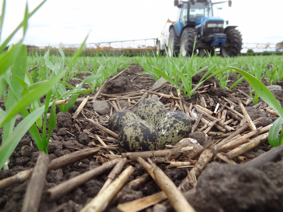 What do we want and where - skylark, woodlark, lapwing, whinchat?

my refreshed blog on how #landmanagers undertake unfunded work for farmland and non-farmland #wildlife. Plus link to latest govt wild bird pop trends

robyorke.co.uk/2016/07/findin…

pic Andy Roberts