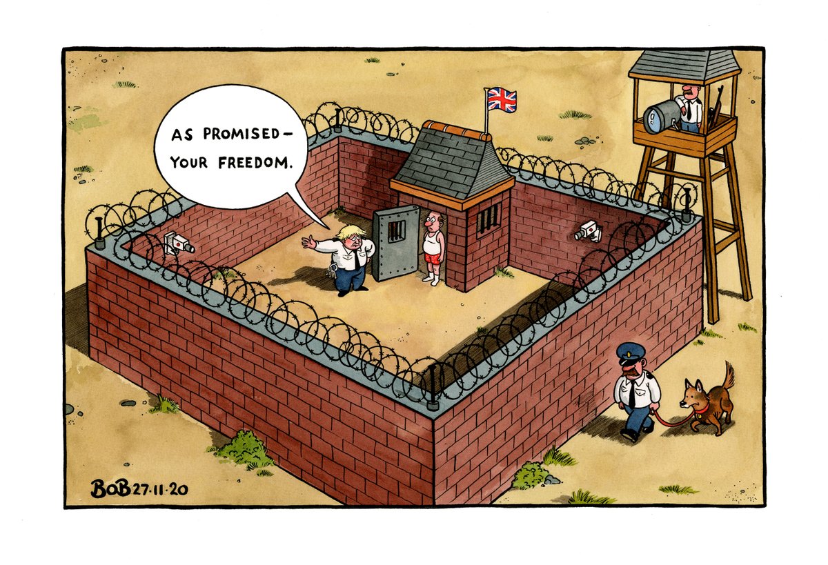 bobscartoons's tweet photo. .@Telegraph cartoon for Friday 27th November 2020 https://t.co/LZJi0fIr8g