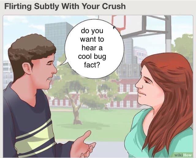 hope this works 