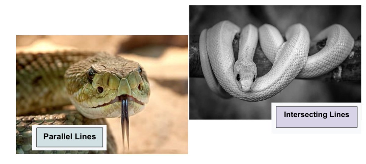 MrsDelahunt's tweet image. Using student interests in math lessons? ✅ #overcomingmyfears #mathisnotscary #typesoflines