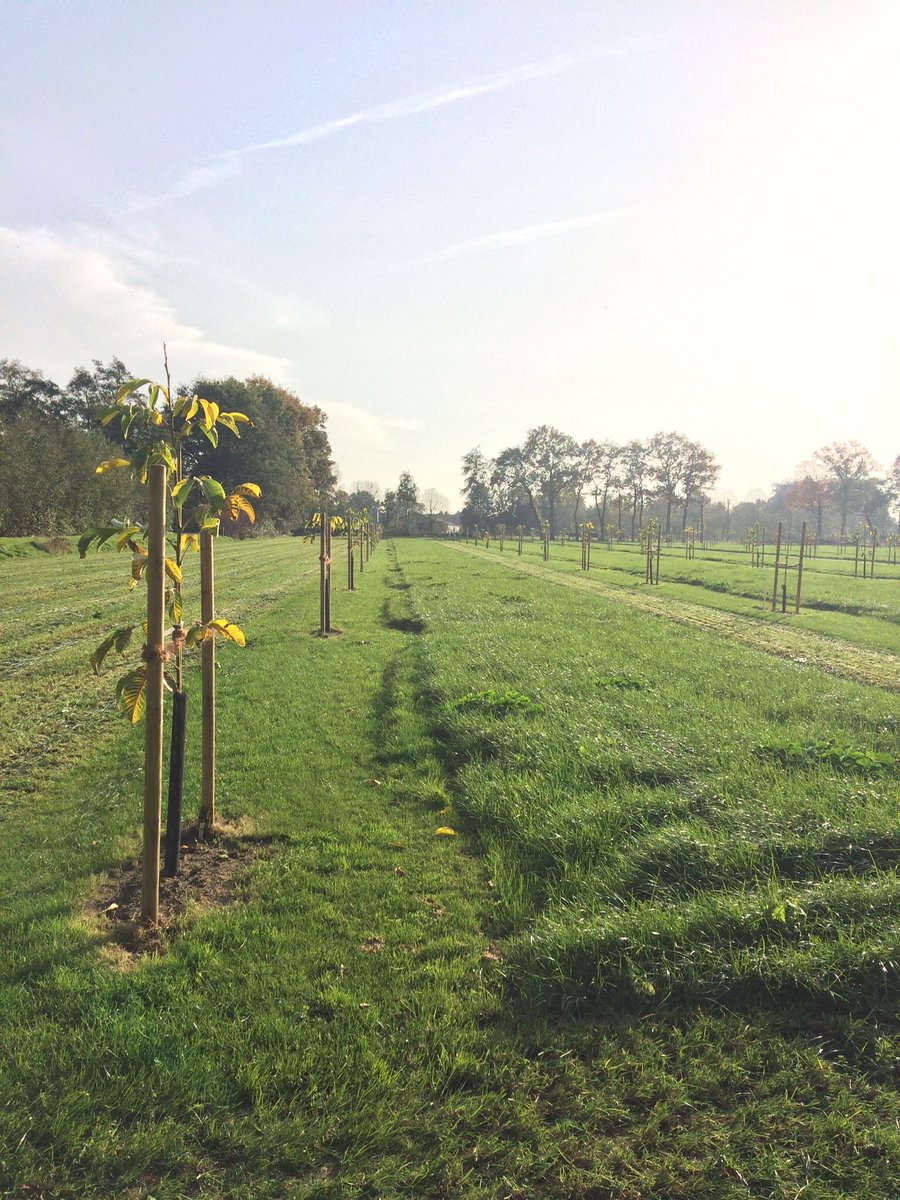 Op 1 december van 14.00 uur tot 15.30 uur vindt de online studiebijeenkomst “verdienmodellen in Agroforestry”  plaats. Deze bijeenkomst wordt o.a. georganiseerd door Gelderse en Brabantse Agroforestry netwerken
Tot 1 december aanmelden bij Piet@RomboutsAgroEco.nl  #agroforestry