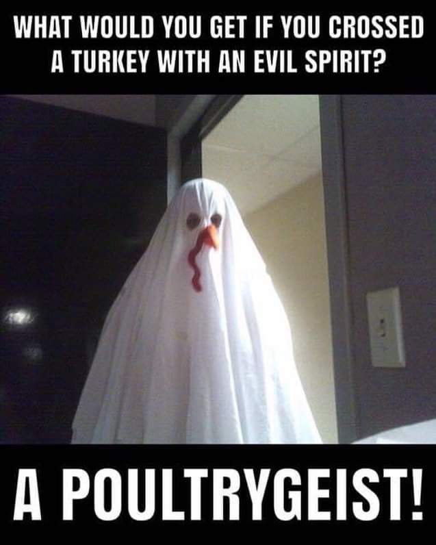 Happy Thanksgiving from the Broads #bbbghosthunters