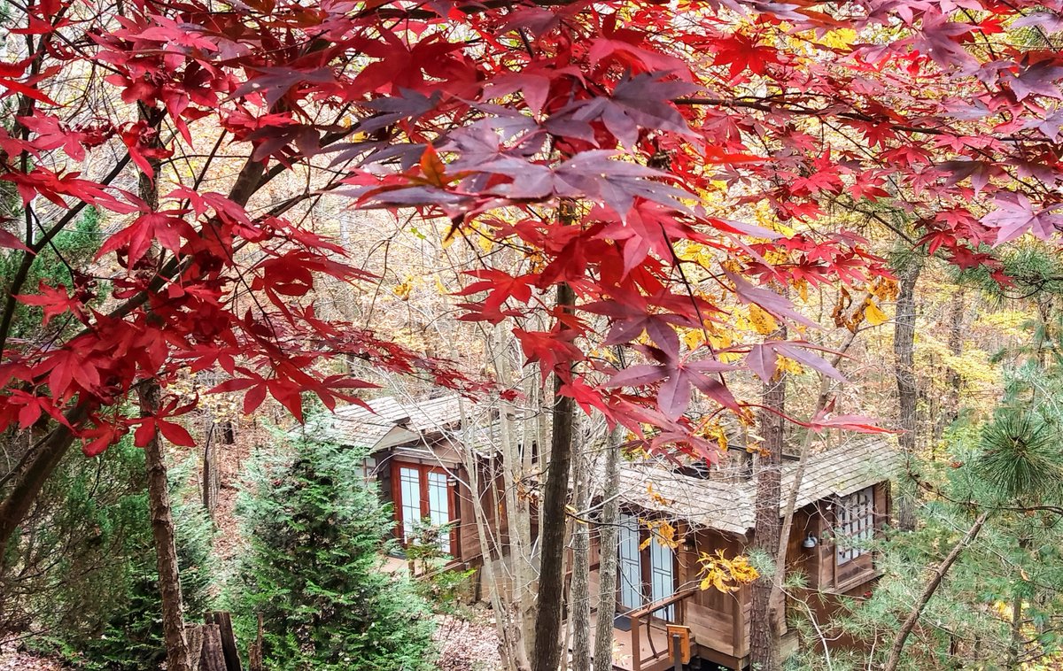Experience relaxation and the earthly, rustic charm that is Shoji Spa with our Fall Package. Take the scenic route through your blissful retreat in the mountains. Ours paths are for your exploration during your stay. #asheville
