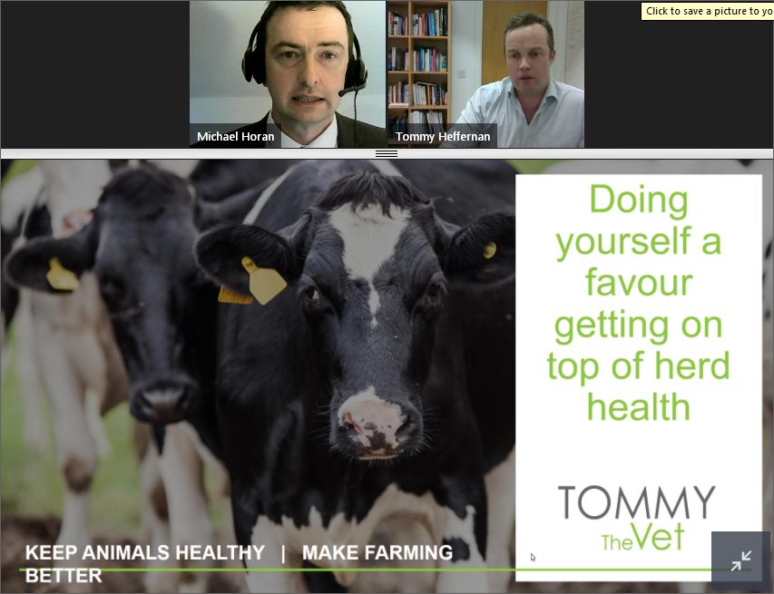 ShaneMcAuliffe1's tweet photo. Kerry well represented tonight again! @MLHORAN78 @tommythevet #AHAW2020 #AnimalHealthAwarenessWeek https://t.co/LLxHvMTAXM