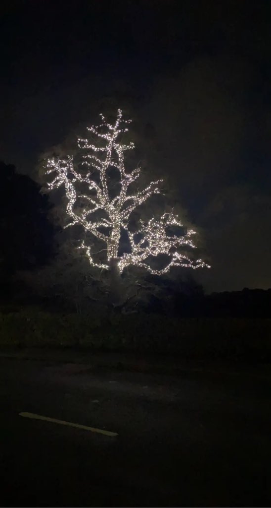 A bit of something different for us this week. Getting a tree ready for Christmas #Christmas2020 #Christmas #LifeGoesOn <a href="/BlackburnLife/">Blackburn Life</a>