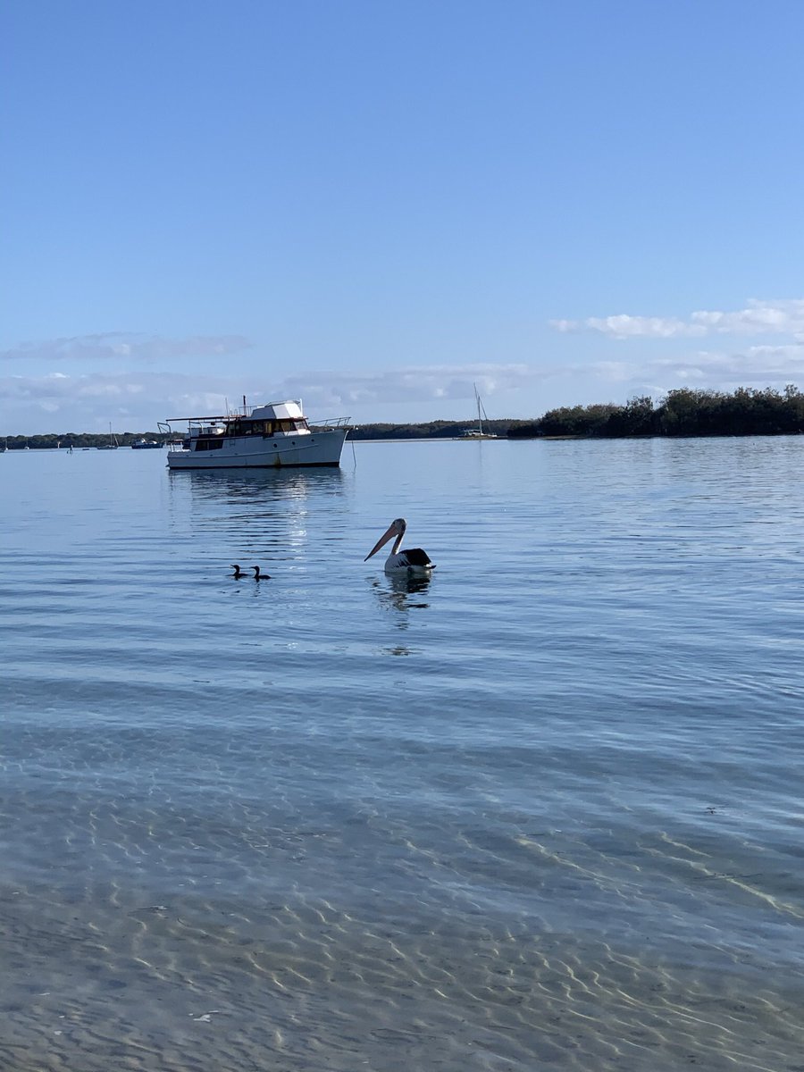 Friday walk #goldcoast #nearlysummer