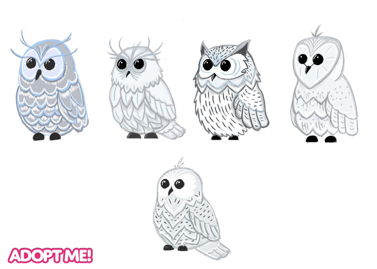 adopt_go's tweet image. one of the owls will be coming to adopt me