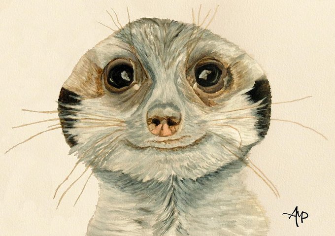 Suricateのtwitterイラスト検索結果