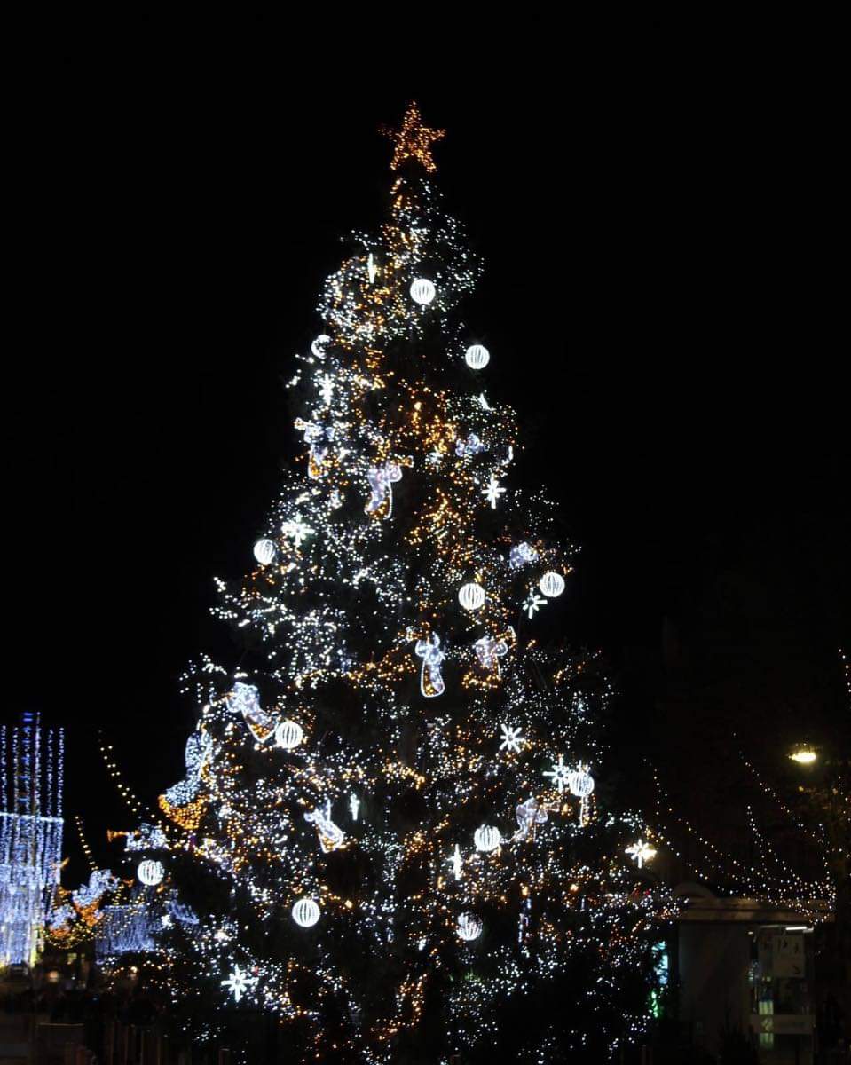 CricriBch_51's tweet photo. Pas de marché de Noël cette année 😢😢 Vivement 2021 !! #JaimeReims #Reims #GrandReims #MarchéDeNoël https://t.co/7rlOOKmyM4