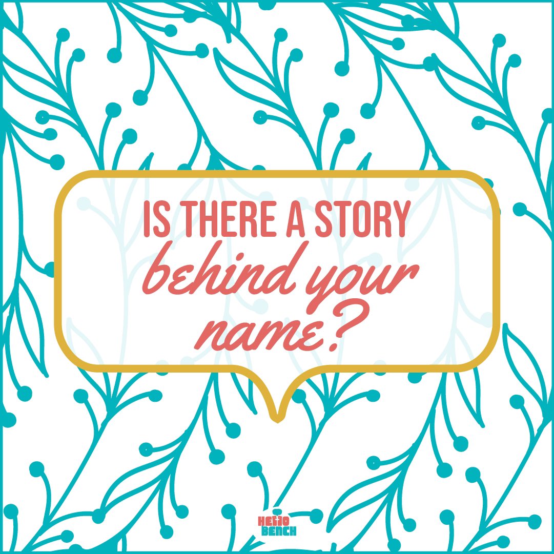 Hello Bench Project tweet media