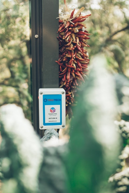 farmershive's tweet image. Remote Learning in Education with farmershive.com/academia Schools and students connected remotely! Multiple users can access the cloud through the Farmer’s Hive platform medium.com/farmers-hive/r… #farmershive #farmers #iot #agriculture #food #education