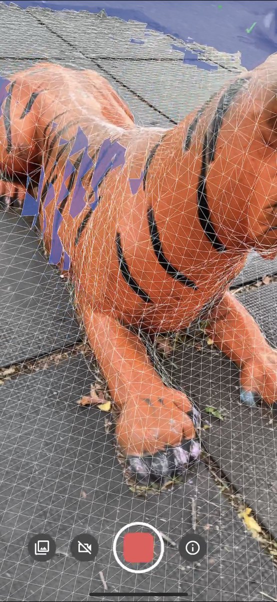 Tips specific to Polycam:- make sure to cover the entire scene (no more blue zone)- avoid going over a zone you have already covered- you can reprocess in HD