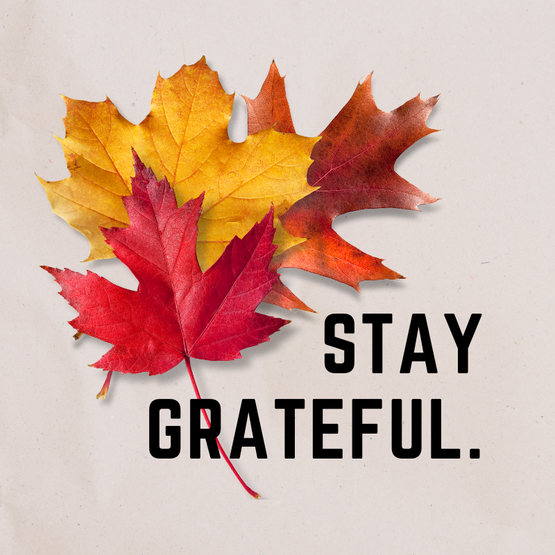 MM_Devs's tweet photo. 2020 has been a hard year, but we want to invite you to  think about 5 things that made you smile and stay grateful for them. https://t.co/aPqioCXPk8