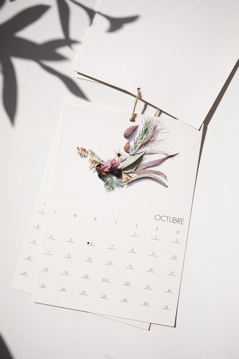 Mercedes Herrán tweet media