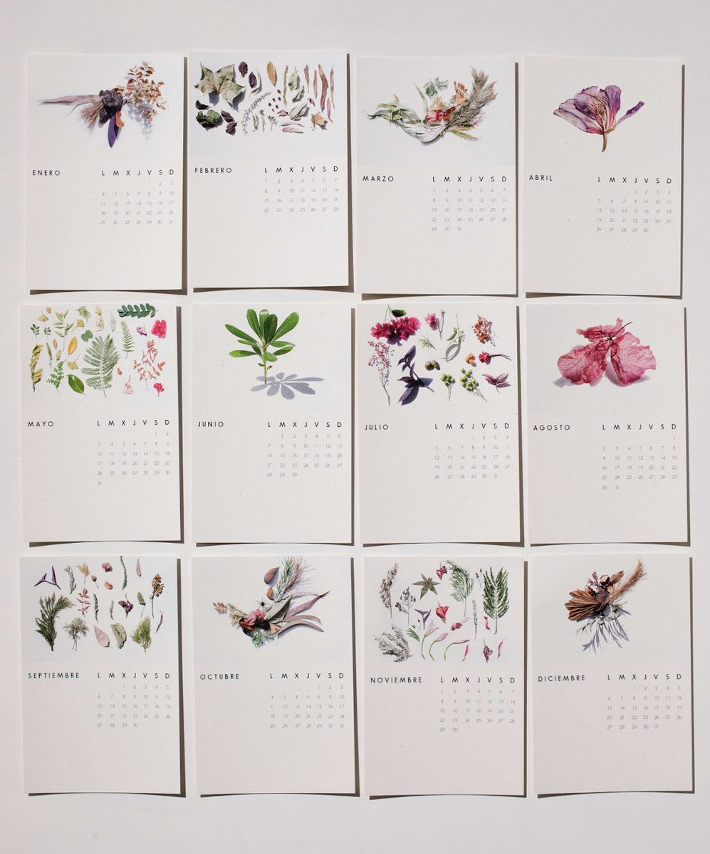 Mercedes Herrán tweet media