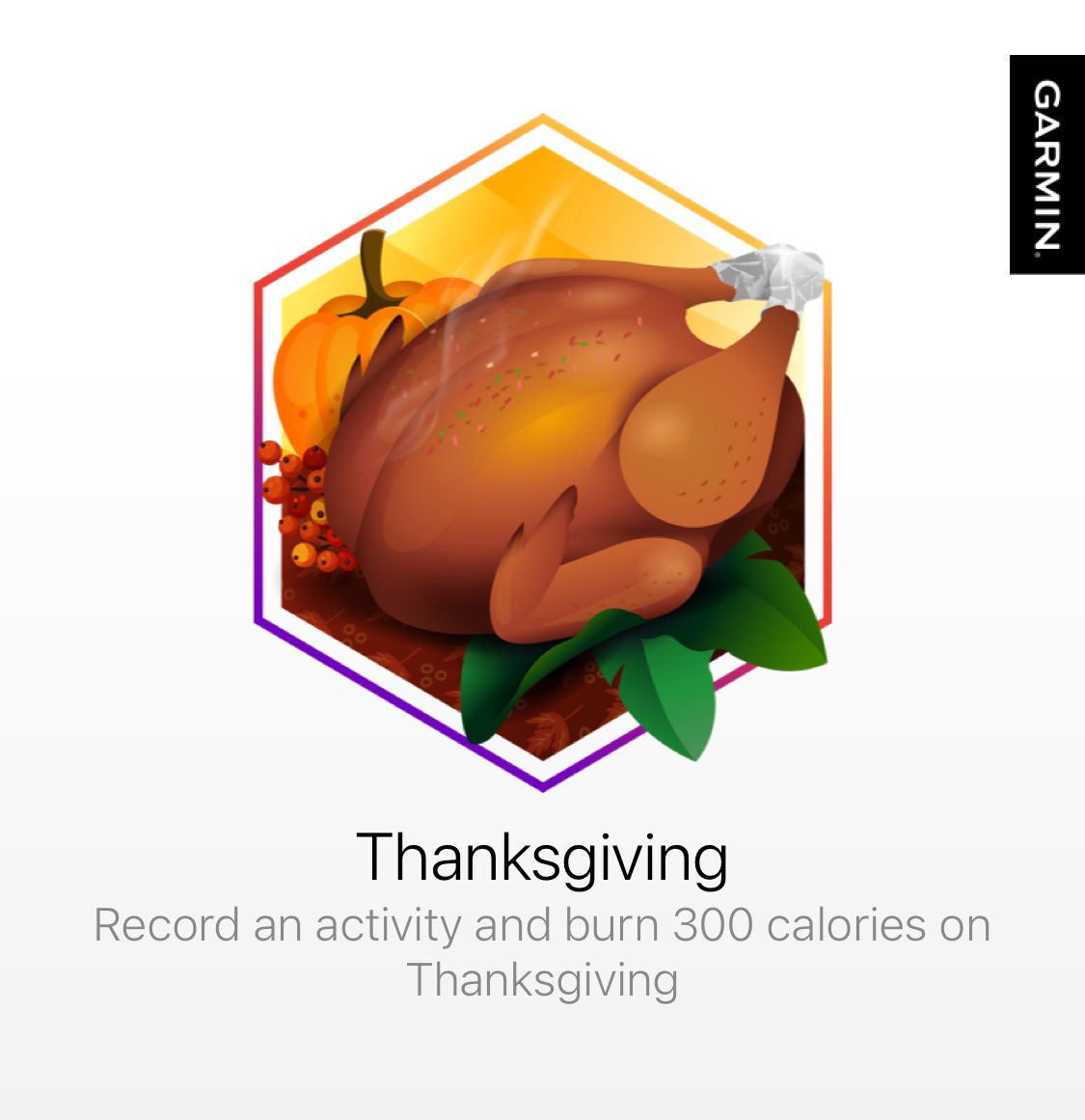 edinaruns's tweet photo. I earned a badge on Garmin Connect. #garmin #beatyesterday And another one!!! Happy Thanksgiving running friends! https://t.co/sX9C1xWohV
