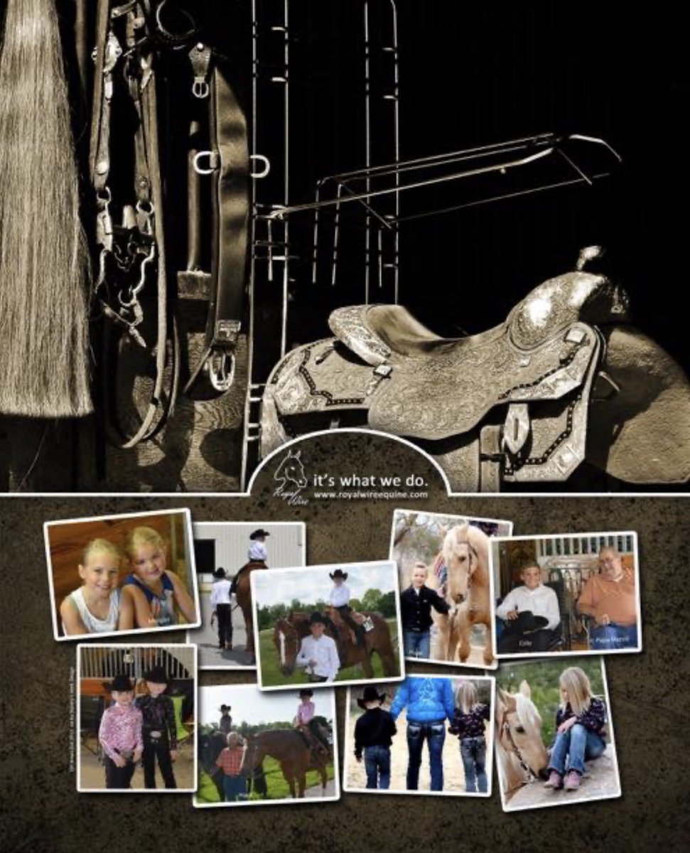Royal Wire Equine tweet media