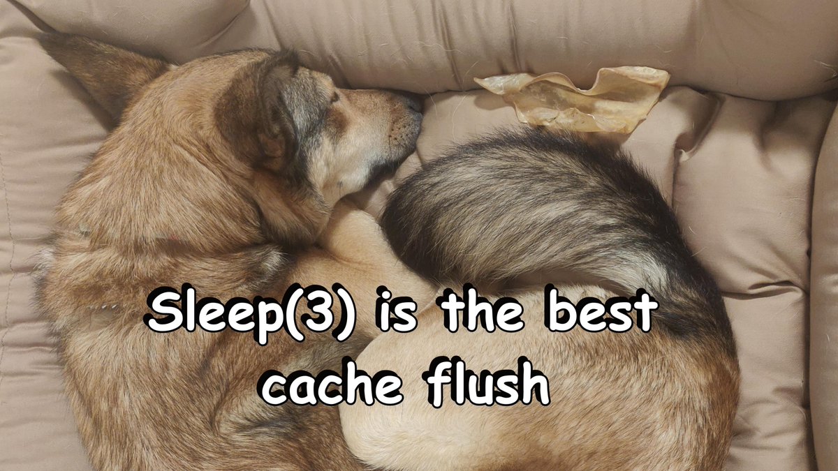zensploitation's tweet photo. Serenity comes from a coherent data and code cache https://t.co/E87pOFcwQ6