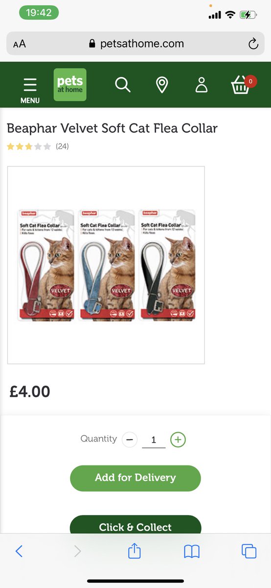 Carmel Mason (Boston) tweet media