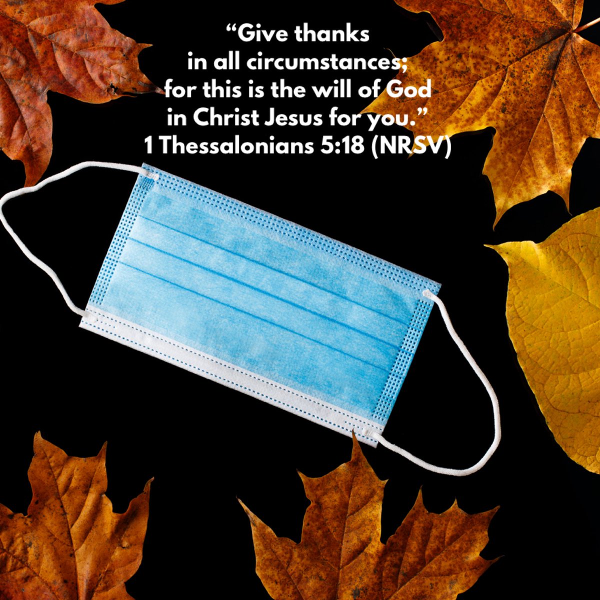 StedmanPHChurch's tweet photo. In a year of pandemics, politics and protests, may we still remember to GIVE THANKS IN ALL CIRCUMSTANCES. #HappyThanksgiving #2020holidays https://t.co/7v9XF8oGUH
