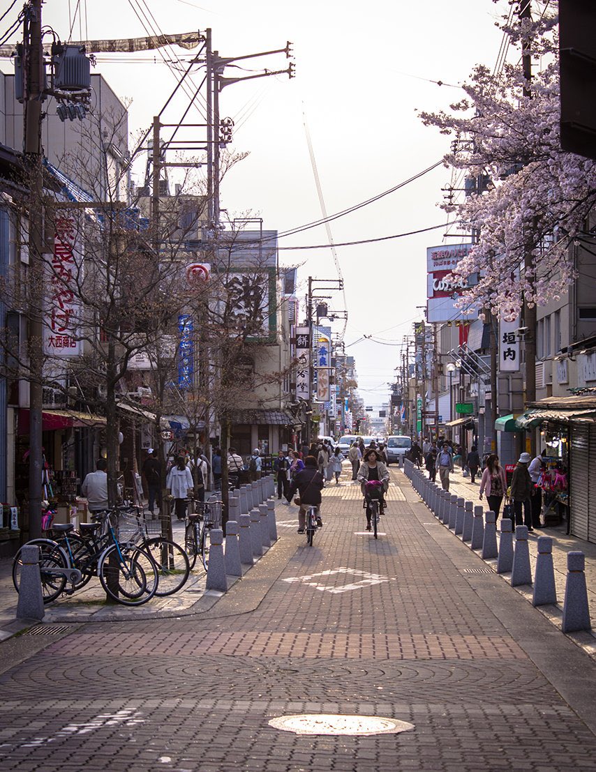 Japan Aesthetics tweet media