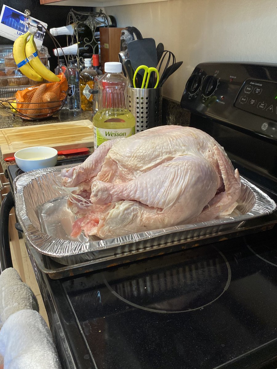 ChloeKoast's tweet photo. My brother’s boss gave him the turkey — but it makes me sad and I kinda just wanna have a funeral for it. Does anyone else feel like this? 😢🦃 #RIPTurkey https://t.co/MuoRNqJLnY