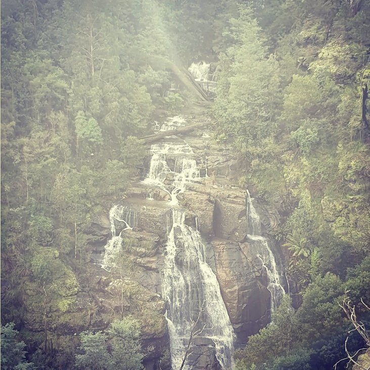 VDiscovers's tweet photo. Victoria Discovers ventured up to Kinglake to Masons Falls.

https://t.co/Pt3eHsdZpy

Parks Victoria #kingslake #kinglakenationalpark #masonsfalls #waterfall #waterfallvictoria #familyfun #daysout #freedaysout #visitvictoria #explorevictoria #discovervictoria #victoriadiscovers https://t.co/IxiOhbTuUS