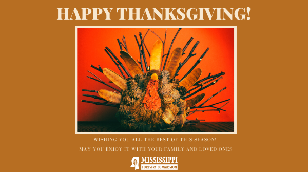 MSForestryComm's tweet photo. 🦃 Happy #Thanksgiving! 🦃 

#MSforestry #thankful #Thankgiving2020 https://t.co/RKCEJ0qfHB