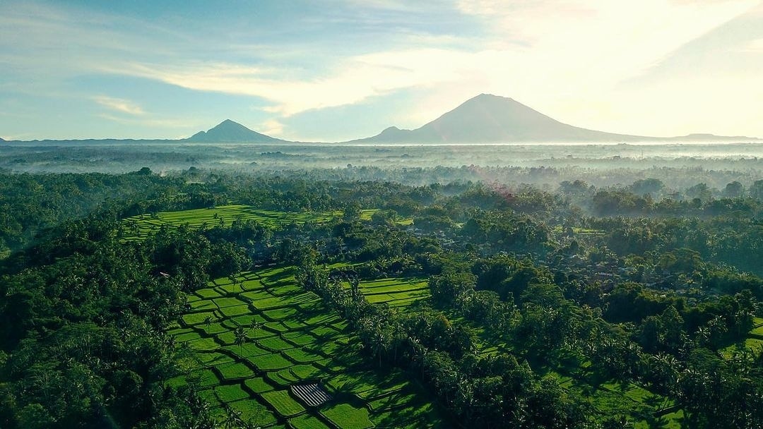 punapibali's tweet photo. Rahajeng semeng semeton @punapibali ☀
.
.
📍Tegalalang Rice Terace
Photo credit @inengahsuarna
#tegalalang #riceterace #bali https://t.co/8Ewr8SwalK