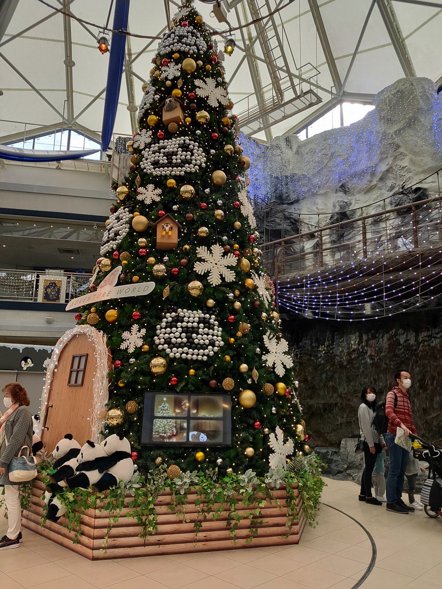 #アドベンチャーワールド はもうクリスマス1色です🎄 https://t.co/Qa7GEQBhZW