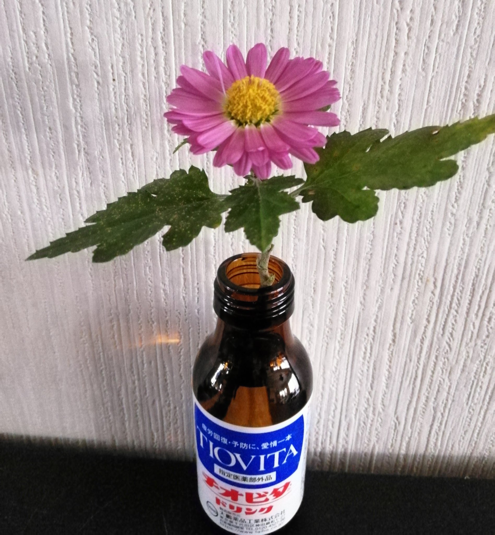 凛 花一輪 玄関にさり気なく飾ってありました 旦那s ﾁｮｯﾄ 変わった人ですが 花を愛でる心がある人 栄養ドリンクの空き瓶 にくいよね T Co Px0xyzr5pq Twitter