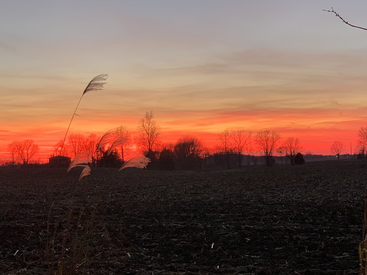 TheWittyFarmer's tweet photo. I couldn’t get the cool pink to show, but it was very pretty this evening. #thanksgivingsunset https://t.co/J0fy9jA6Sc