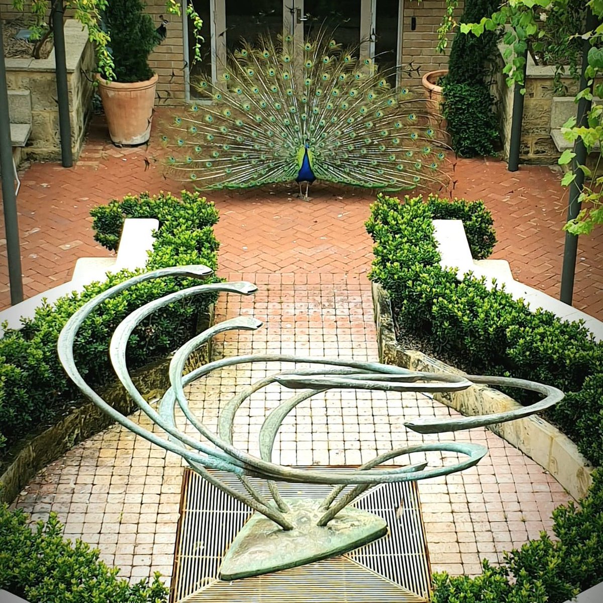 Jane-Héloïse tweet media