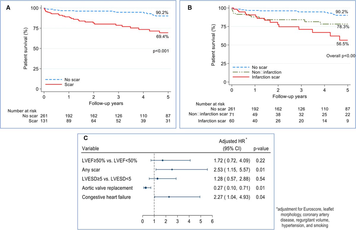 Dipan J. Shah, MD (@dipanjshah) on Twitter photo Congratulations <a href="/MaanMalahfji/">Maan Malahfji</a>. Another investigation demonstrating the utility of #whycmr in valvular heart disease. @AlpanaSenapati <a href="/MReardon19/">Michael Reardon</a> <a href="/maquinonesmd/">M Quinones MD, MACC</a> <a href="/WilliamZoghbi/">WilliamZoghbi</a> <a href="/HMethodistCV/">Houston Methodist CV</a>
Myocardial Scar and Mortality in Chronic Aortic Regurgitation ahajournals.org/doi/10.1161/JA… Congratulations <a href="/MaanMalahfji/">Maan Malahfji</a>. Another investigation demonstrating the utility of #whycmr in valvular heart disease. @AlpanaSenapati <a href="/MReardon19/">Michael Reardon</a> <a href="/maquinonesmd/">M Quinones MD, MACC</a> <a href="/WilliamZoghbi/">WilliamZoghbi</a> <a href="/HMethodistCV/">Houston Methodist CV</a>
Myocardial Scar and Mortality in Chronic Aortic Regurgitation ahajournals.org/doi/10.1161/JA…
