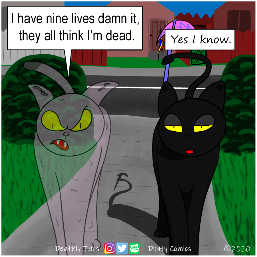 dipitycomics's tweet photo. Eugene has a way of dealing with skeptical ghosts. If you're really enjoying my comics stay tuned in every Tuesday and Thursday for new ones! #cat #smartcat #deviouscat #grimreaper #comic #webcomic #funny #webtoon #drawing #art #comics #newcomics #deathlytails #humour #darkhumour https://t.co/GQeIqP71Ec