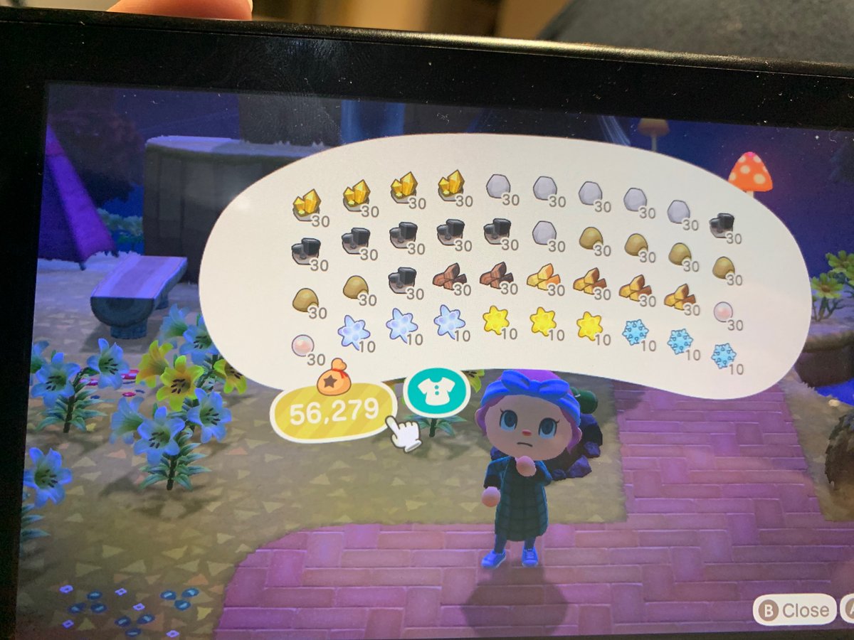 Another successful trip to <a href="/RoversCorner/">Closed</a> got so much stuff and DIY’s plus a new villager. Highly recommend.